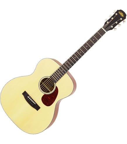 Amazon.co.jp: Aria Dreadnought アリア ドレッドノートシリーズ